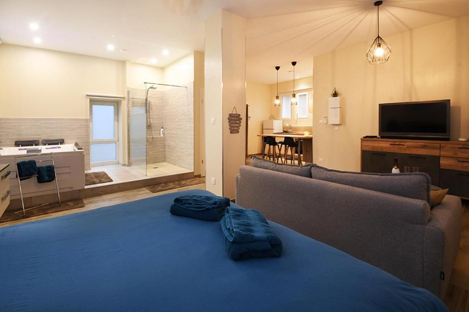 Ravissant Loft Avec Jacuzzi Pour Séjours Détente * Strasbourg