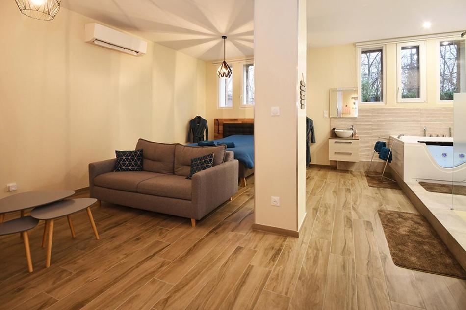 Appartement Ravissant Loft Avec Jacuzzi Pour Séjours Détente Strasbourg