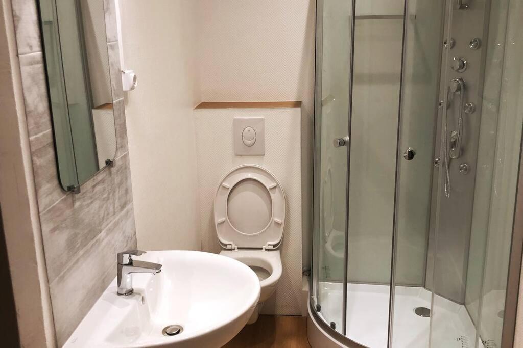 Grand 4p Orangerie 7 Personnes Proche D Allemagne Appartement Strasbourg