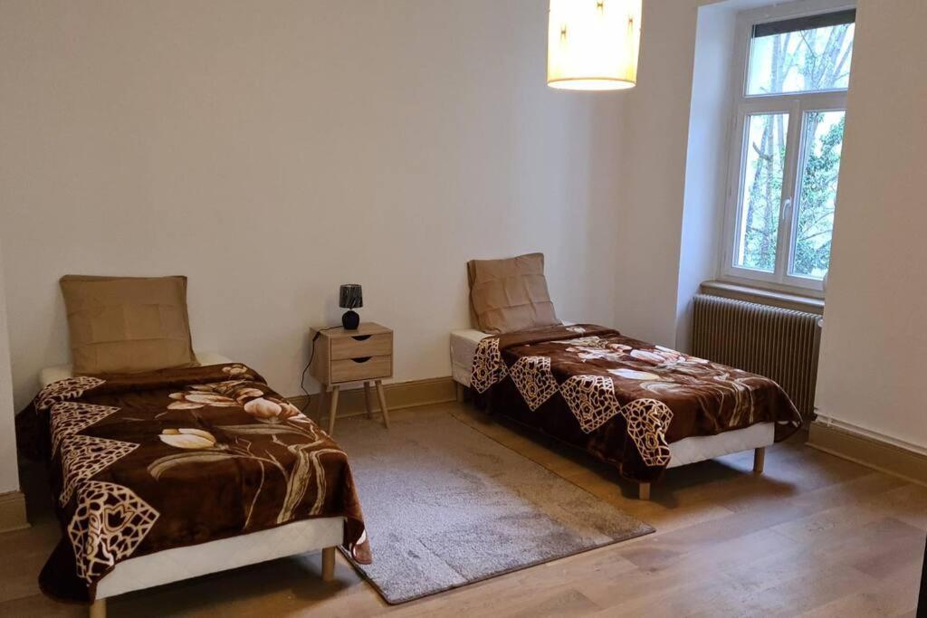 Grand 4p Orangerie 7 Personnes Proche D Allemagne Appartement