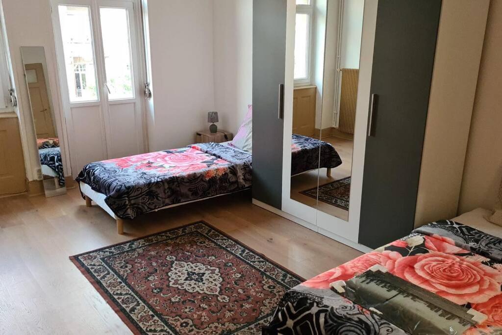 Grand 4p Orangerie 7 Personnes Proche D Allemagne Appartement *