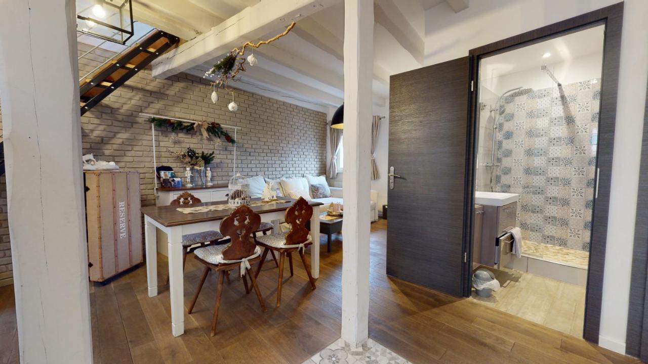 Le Nid De L'ill, Magnifique Duplex Cosy Petite France Straßburg