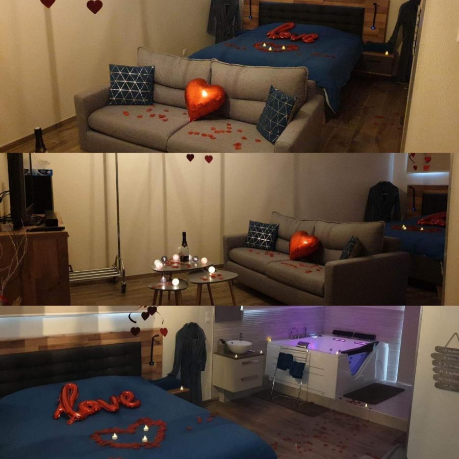 Ravissant Loft Avec Jacuzzi Pour Séjours Détente Appartement Strasbourg