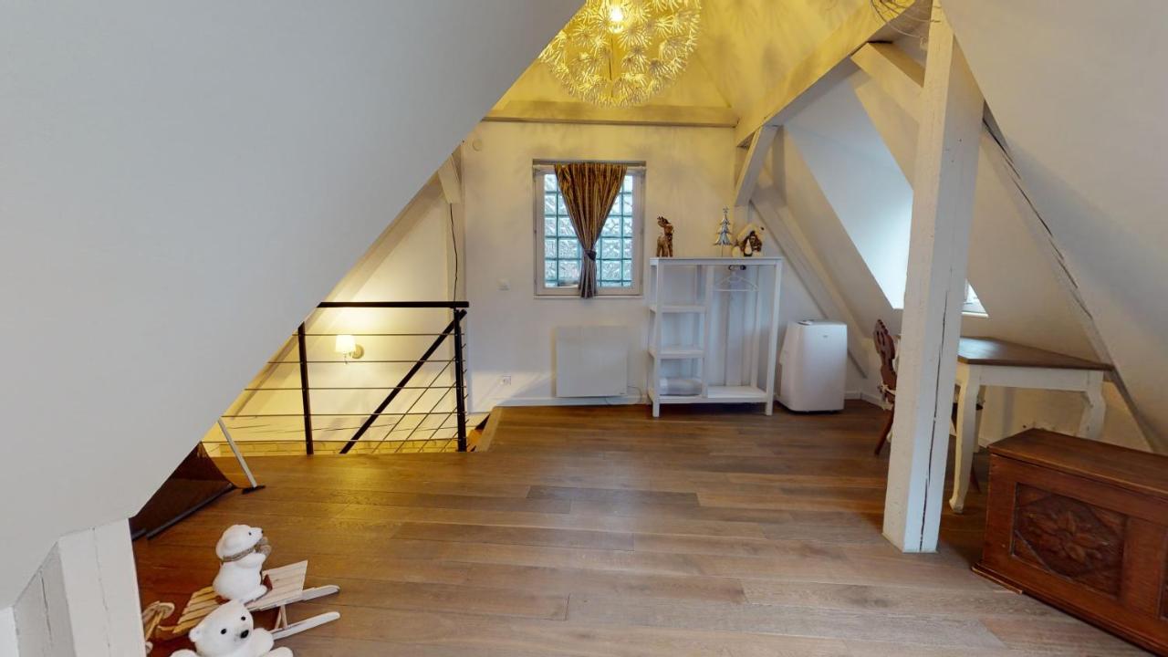 Le Nid De L'ill, Magnifique Duplex Cosy Petite France * Straßburg