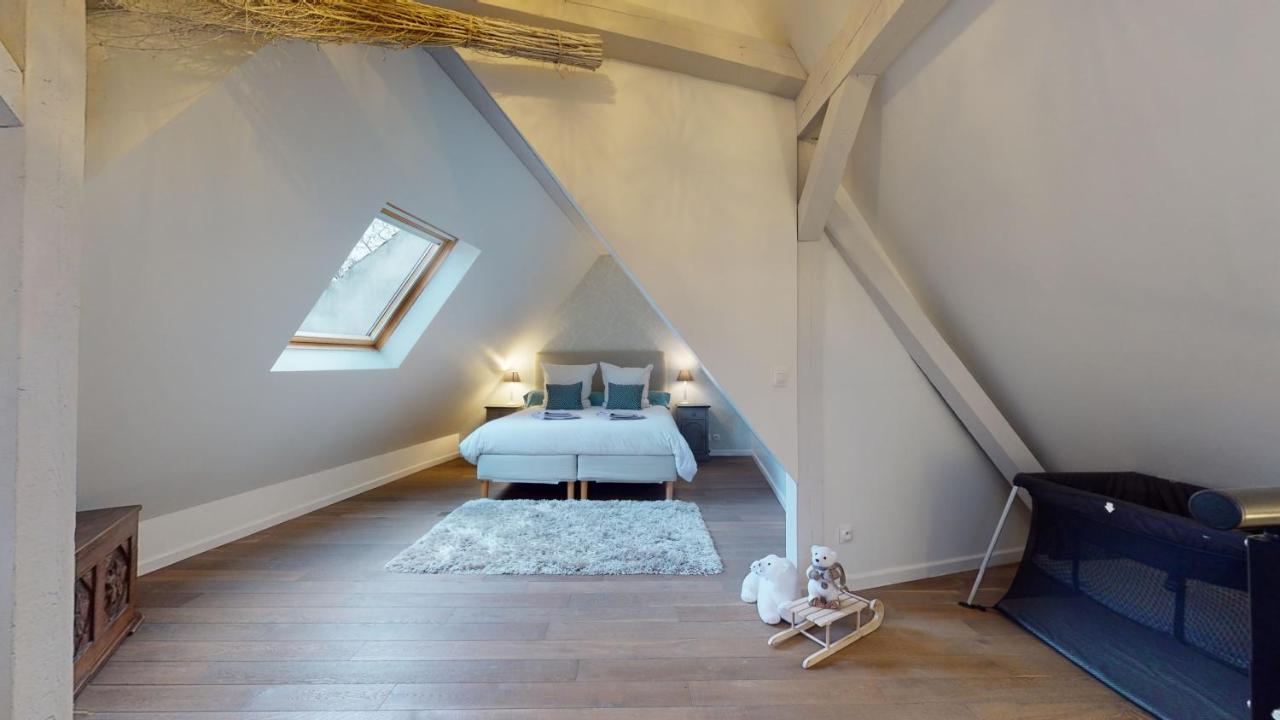 Le Nid De L'ill, Magnifique Duplex Cosy Petite France Apartment Straßburg