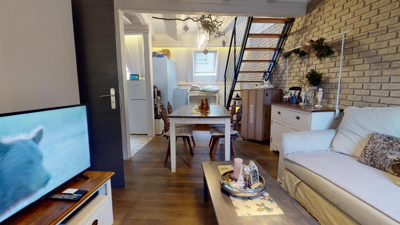 Le Nid De L'ill, Magnifique Duplex Cosy Petite France Apartment Straßburg