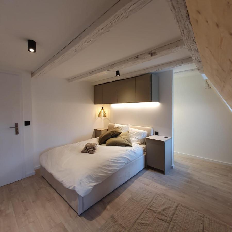 Hyper Centre Appartement Strasbourg