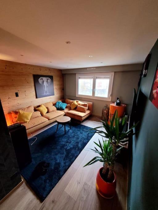 Appartement Strasbourg *
