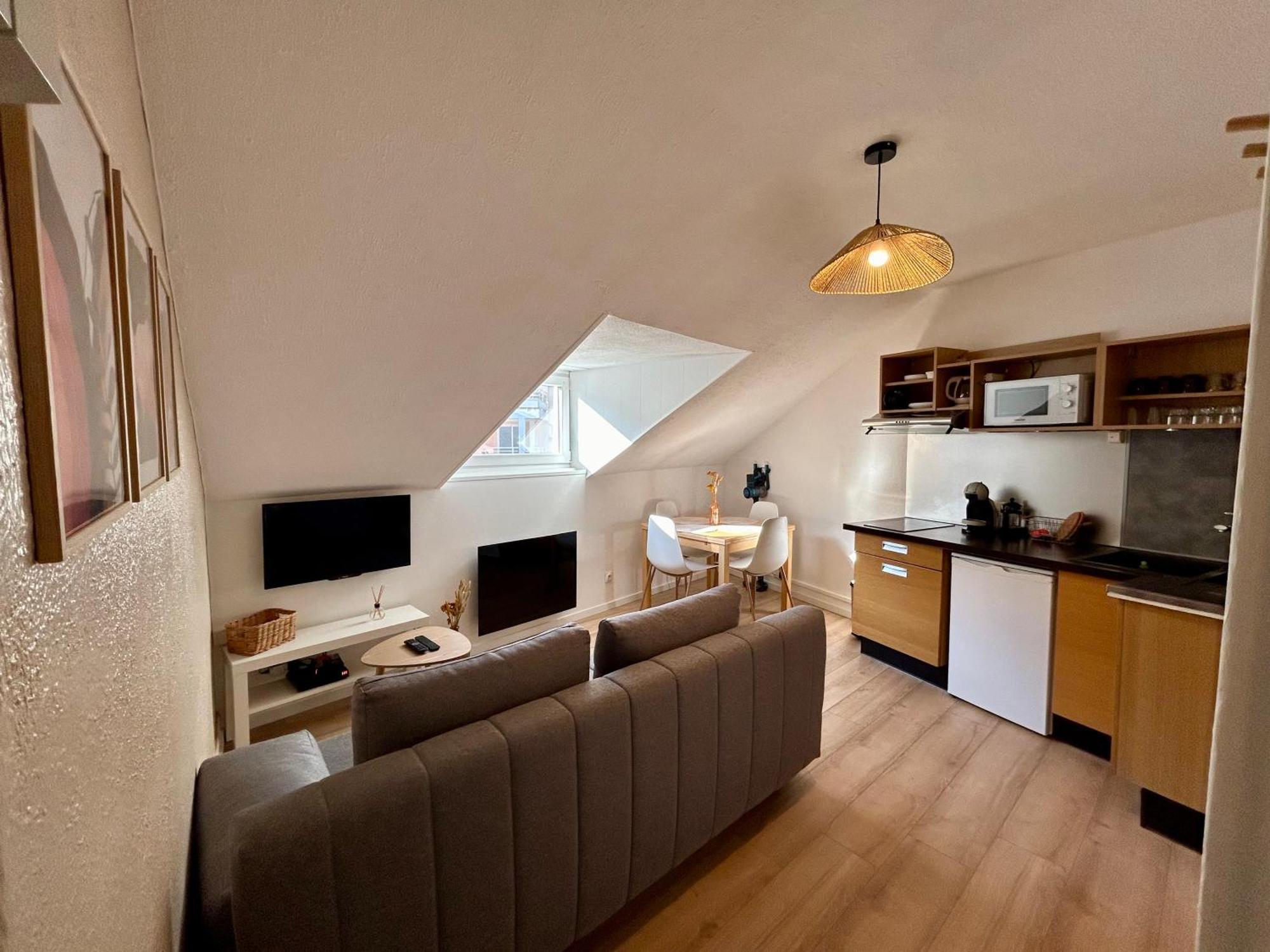 Douce Agathe - Duo-groupe, Chaleureux, Tram 200m, Centre 10min Appartement