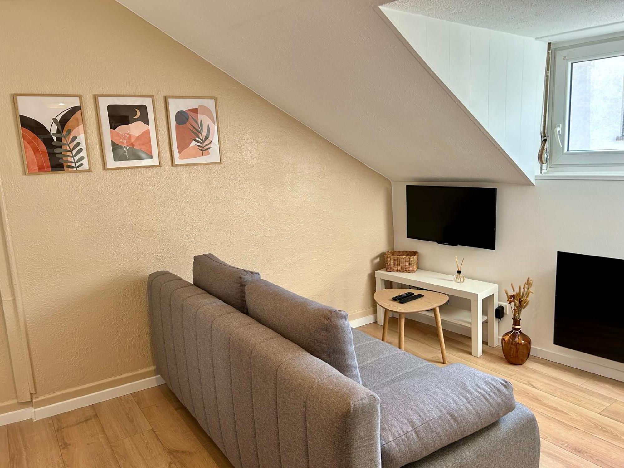 Appartement Douce Agathe - Duo-groupe, Chaleureux, Tram 200m, Centre 10min *