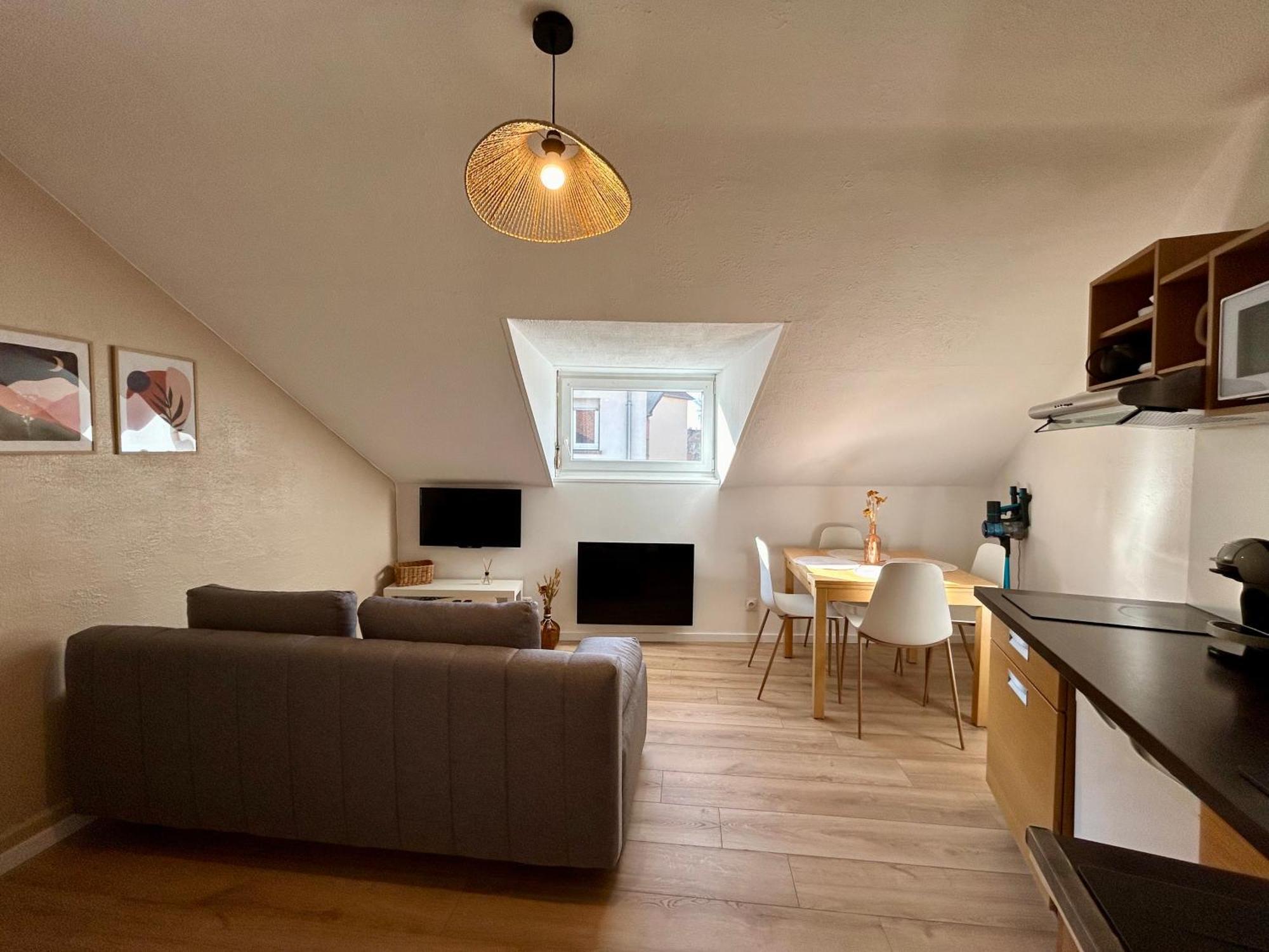 Douce Agathe - Duo-groupe, Chaleureux, Tram 200m, Centre 10min Appartement *