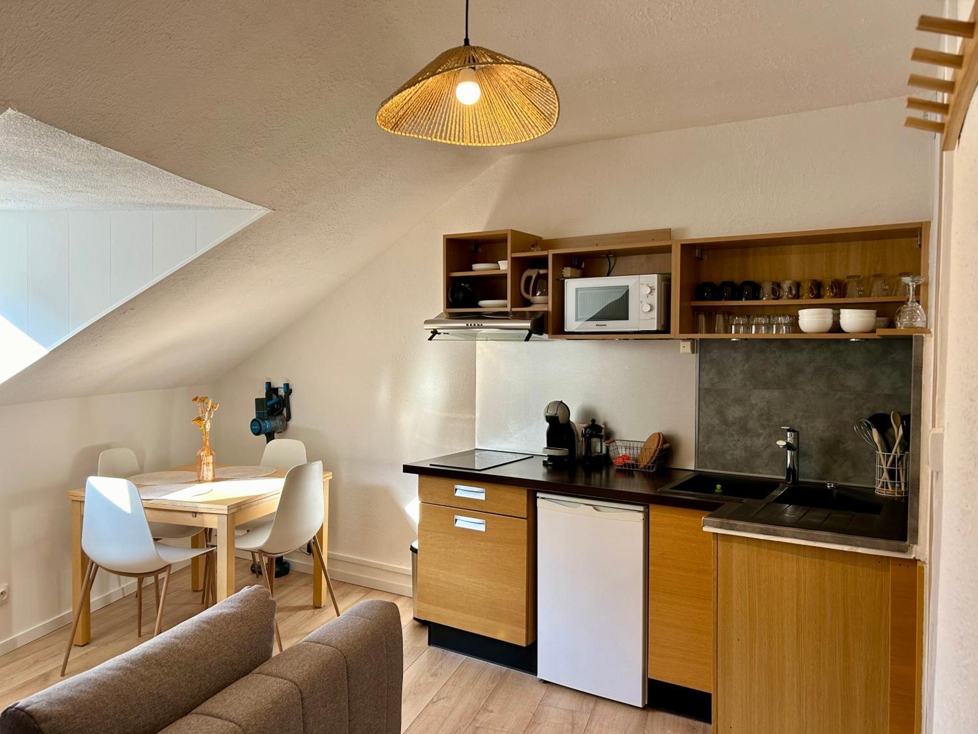 Douce Agathe - Duo-groupe, Chaleureux, Tram 200m, Centre 10min Straatsburg