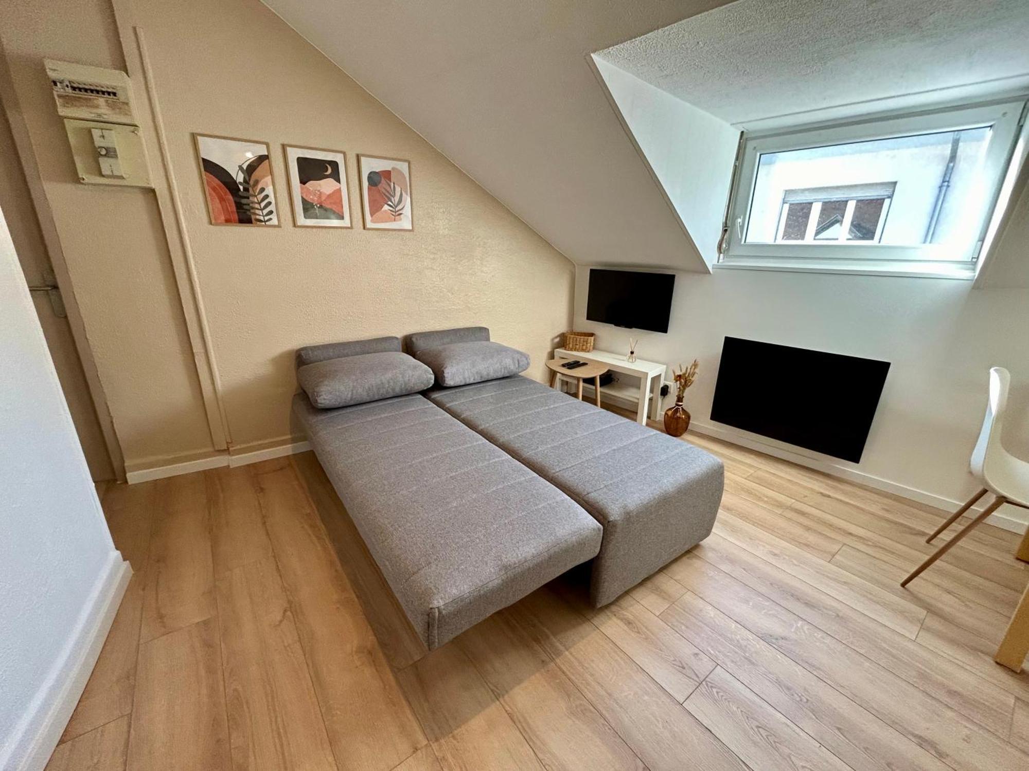 Douce Agathe - Duo-groupe, Chaleureux, Tram 200m, Centre 10min Appartement *