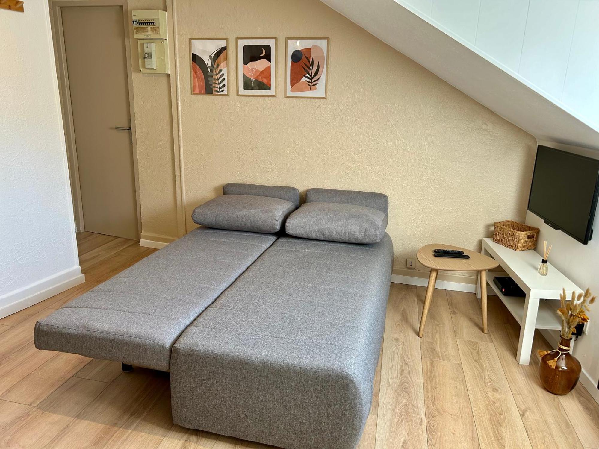 Appartement Douce Agathe - Duo-groupe, Chaleureux, Tram 200m, Centre 10min *