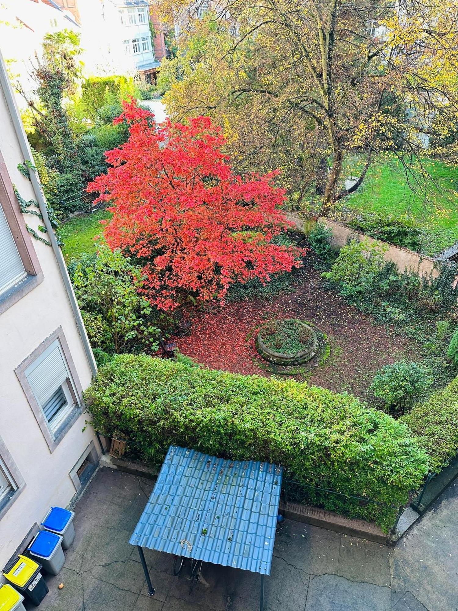 4 Etoiles Magnifique Neustadt - Spacieux, & Elegant Avec Balcon Et Belle Vue Apartment Straßburg