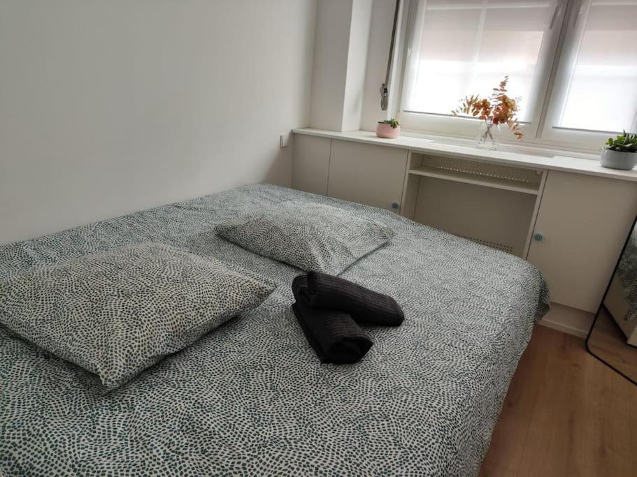 Near The Magic 6 Persons Apartment, 5-minute Walk To Christmas Market! *