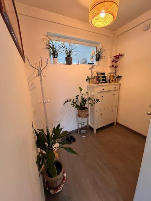 Cosy-rent Tv Wifi Parking * Straatsburg