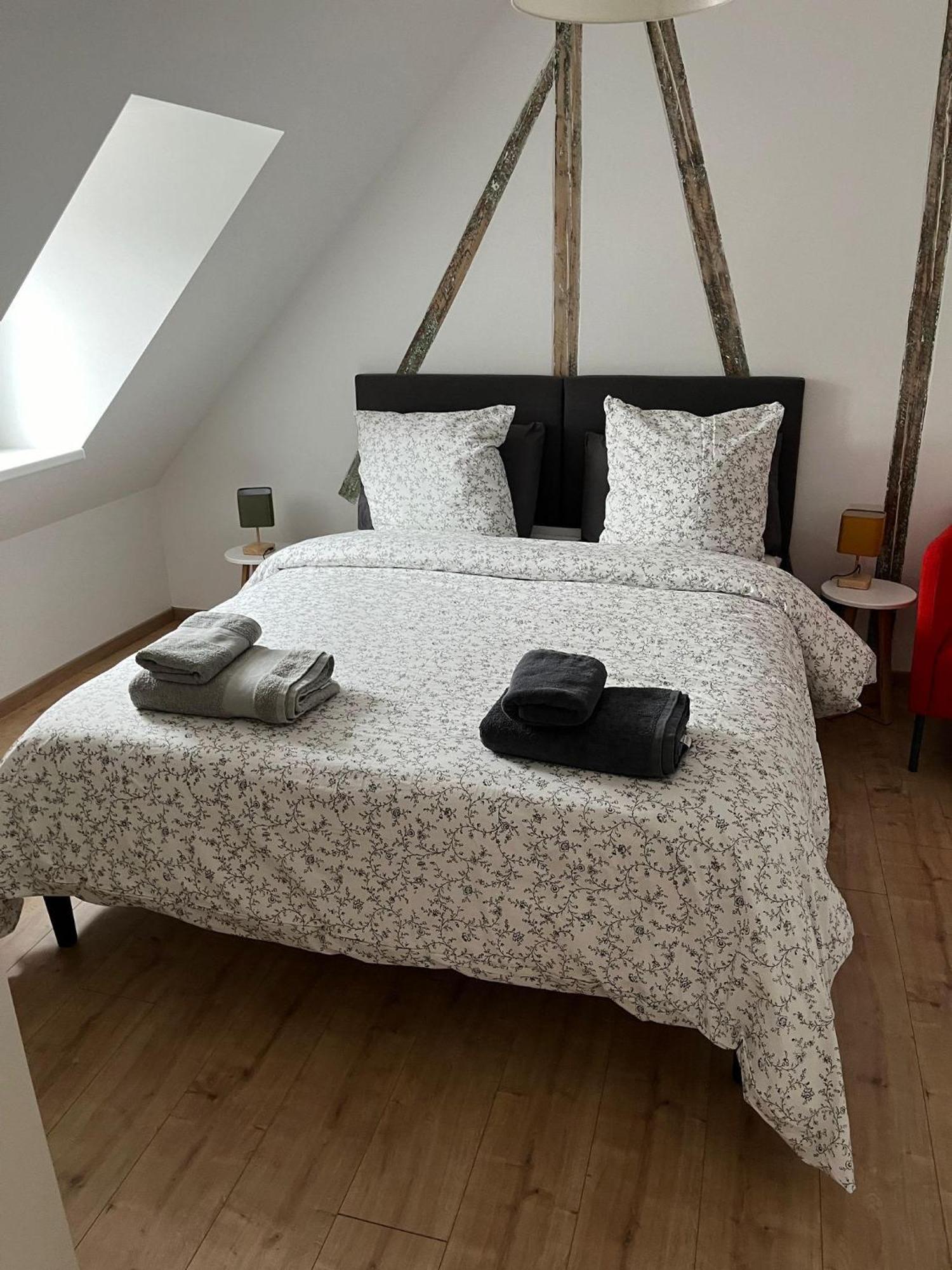 Le Donjon 120 M2 5mn Centre Au Calme Appartement Strasbourg
