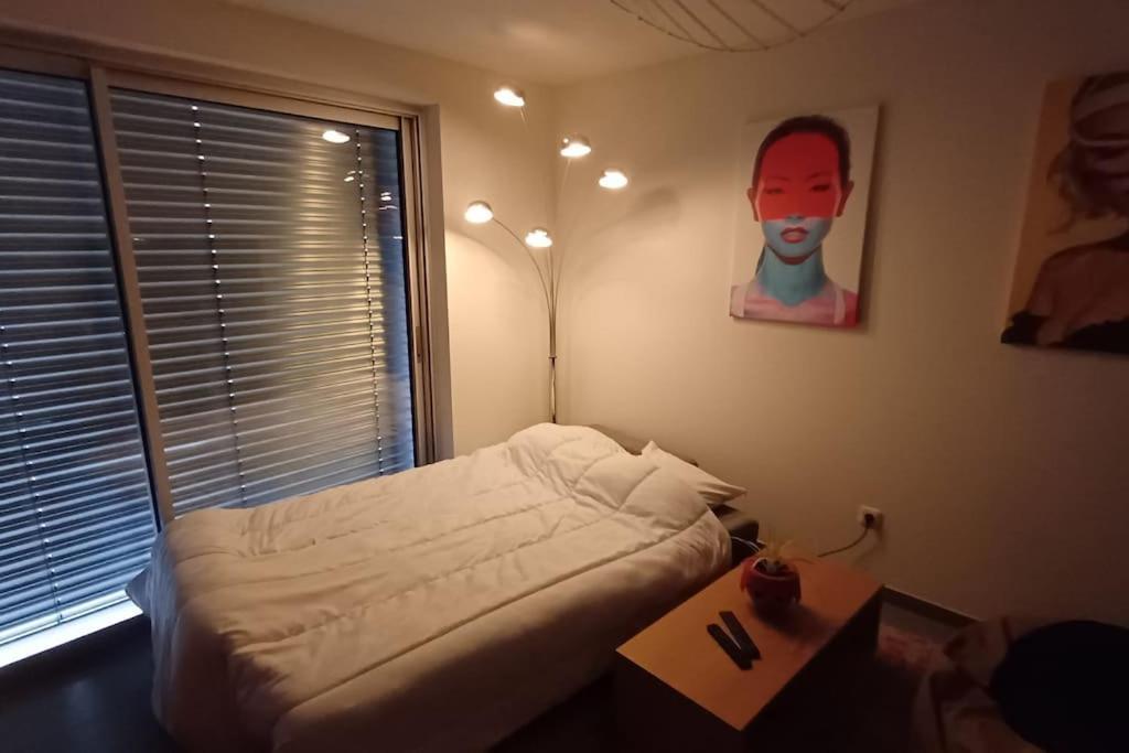 Centre En 15 Minutes Appartement Straatsburg