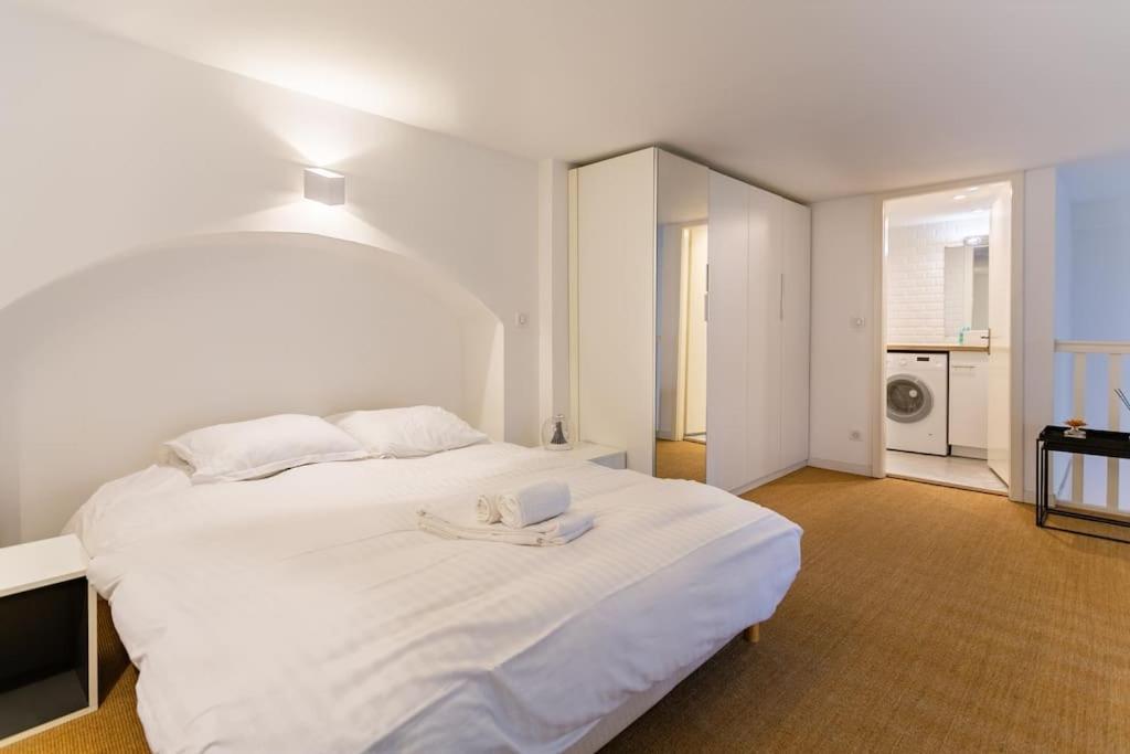 Duplex Spacieux Au Calme Strasbourg