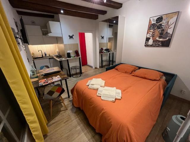 Le Hopla Appartement Straatsburg