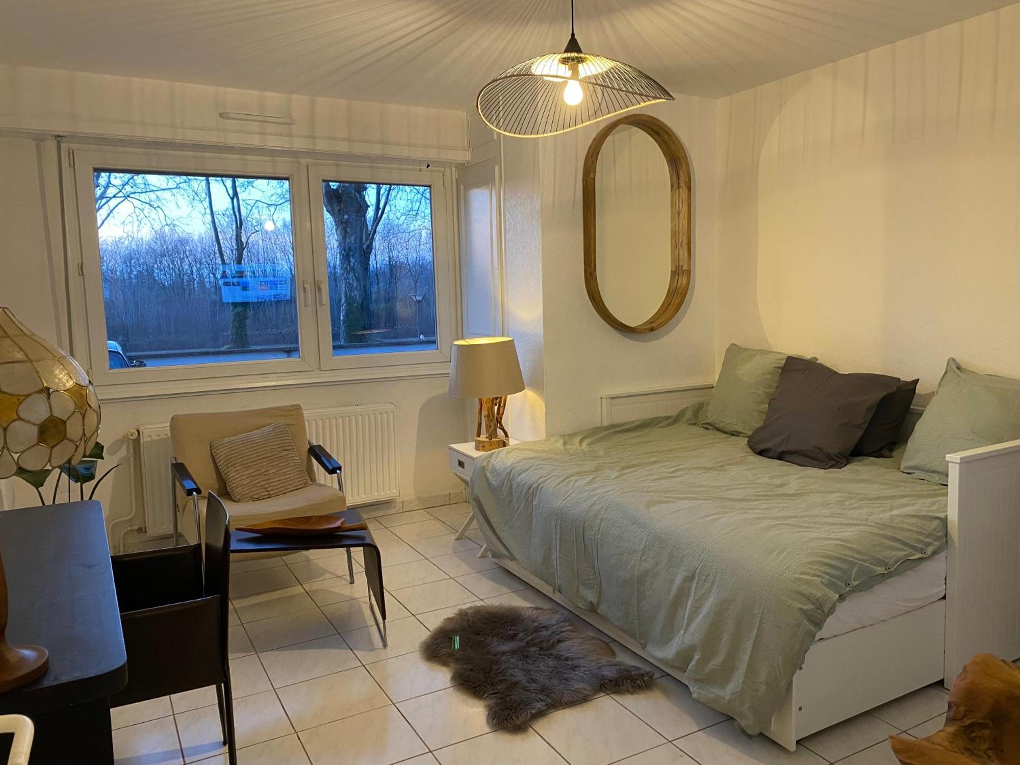Cosy Illkirch Appartement
