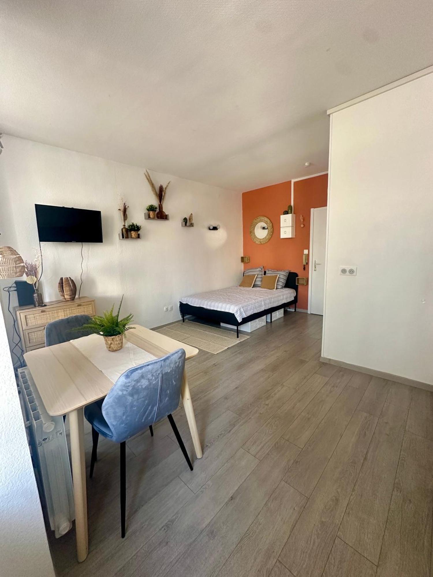 Appartement Entier Proche Gare Et Centre Strasbourg