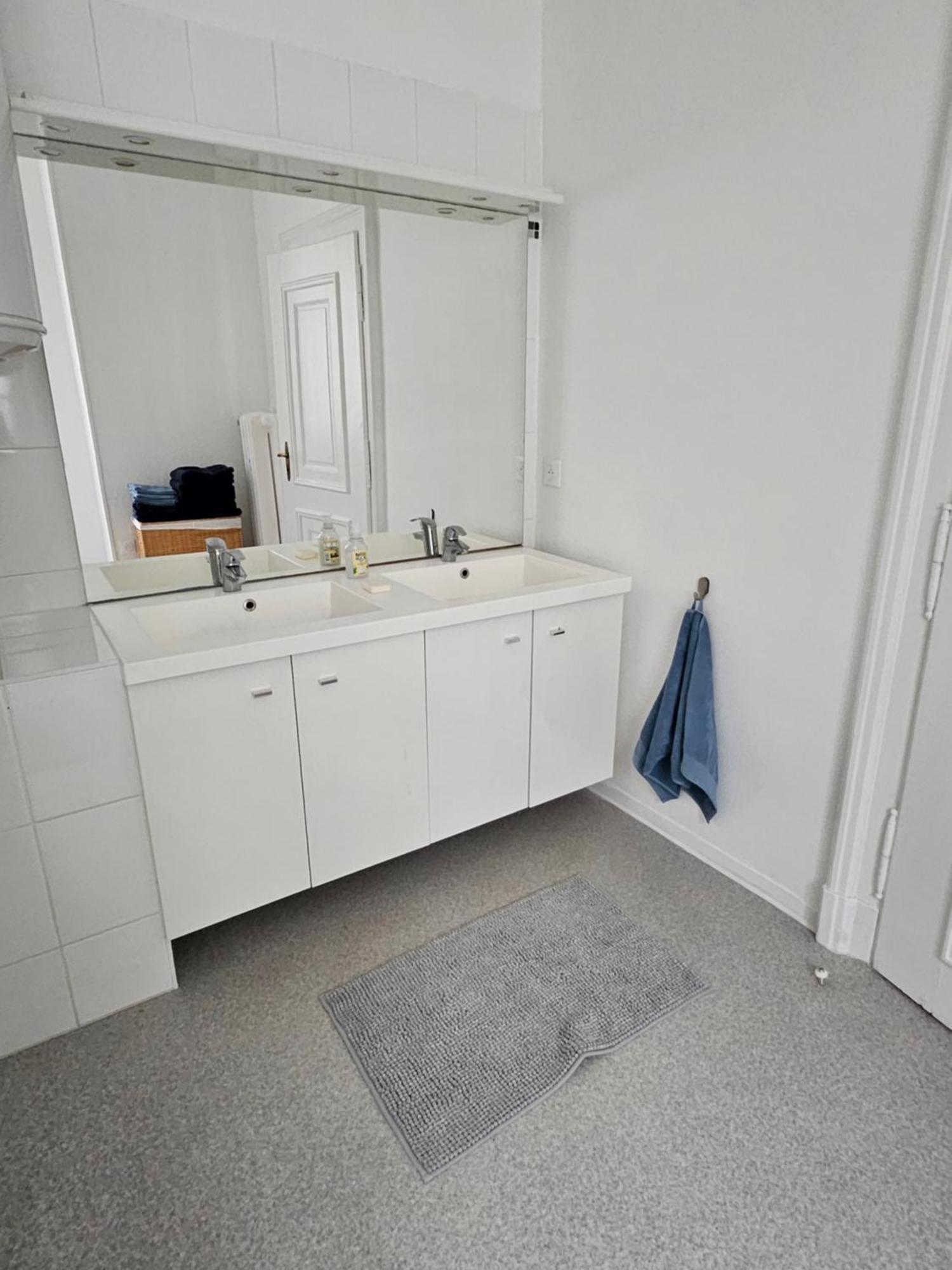 Superbe 140 M2 Plein Centre-ville De Straatsburg