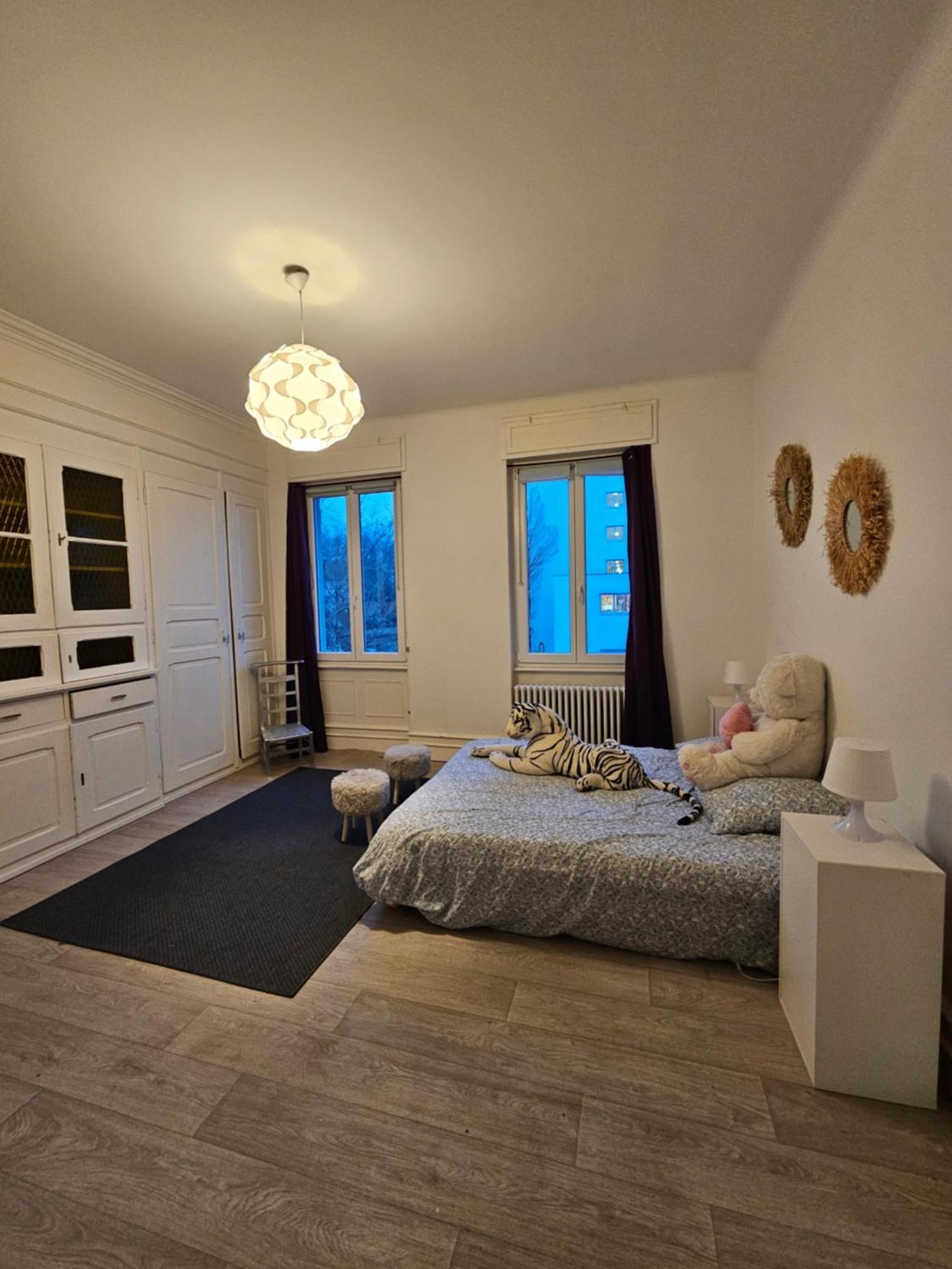 Maison De Maitre A Koenigshoffen Villa