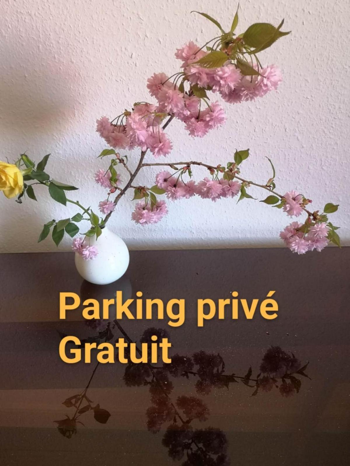 Appartement Zen Center Avec Parking *