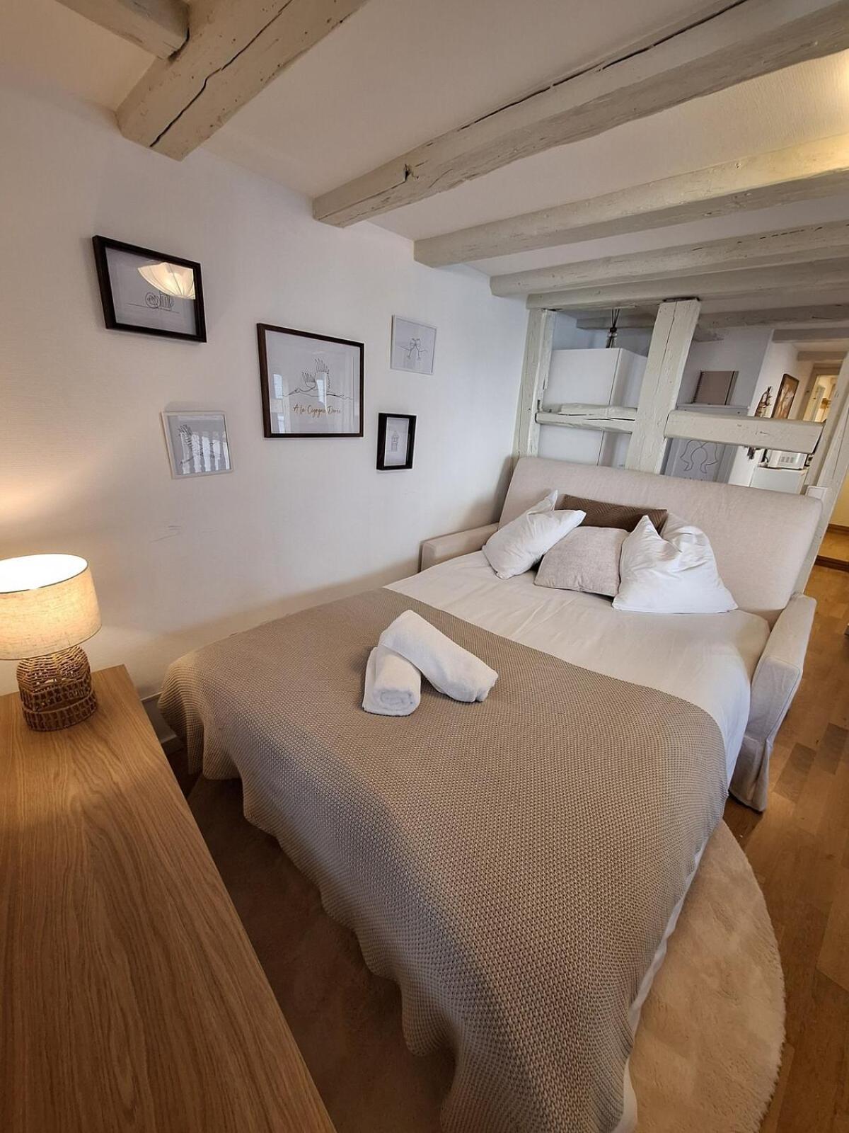 Cigogne Doree - Centre Historique Appartement Strasbourg