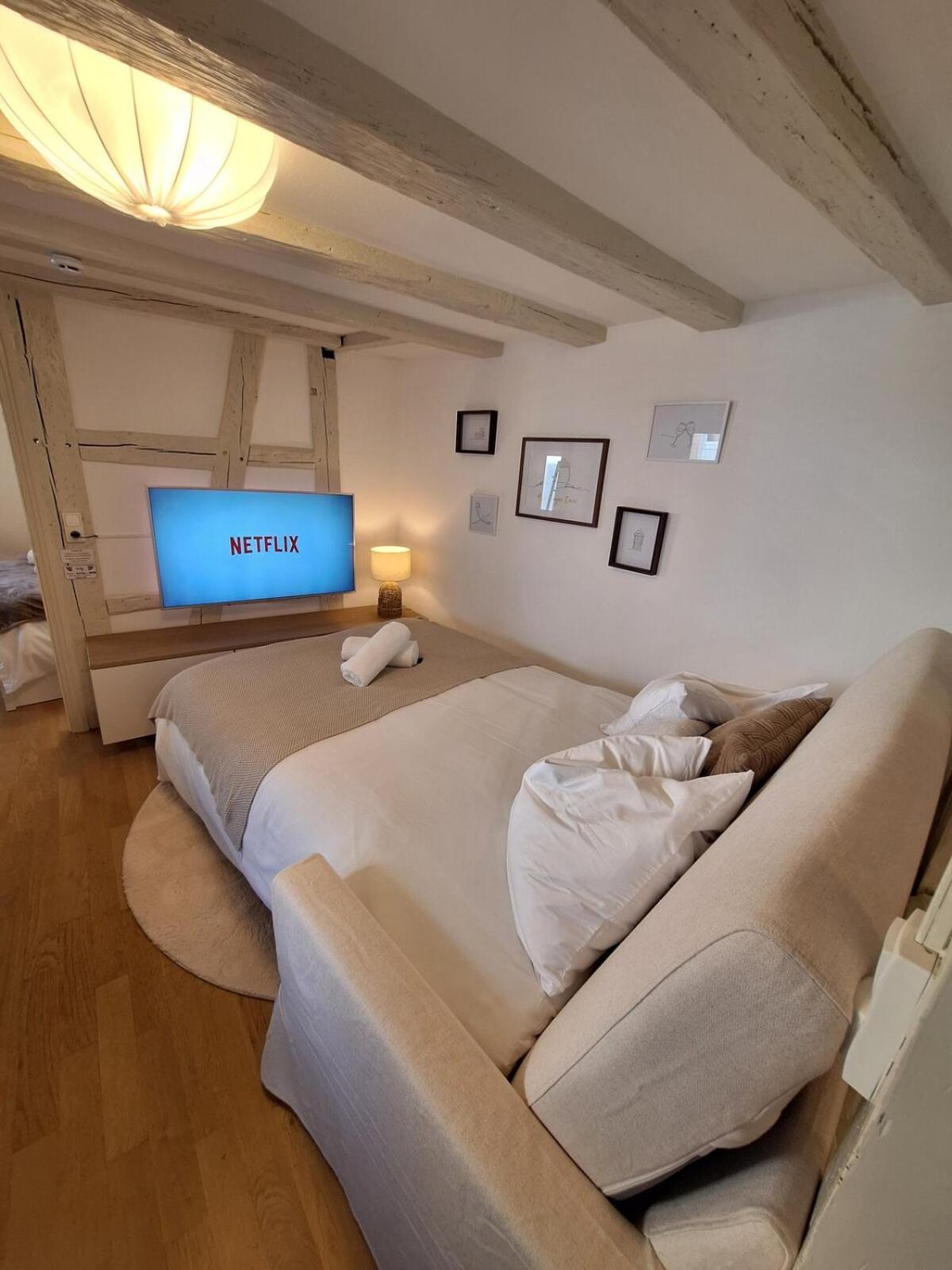 Appartement Cigogne Doree - Centre Historique Strasbourg