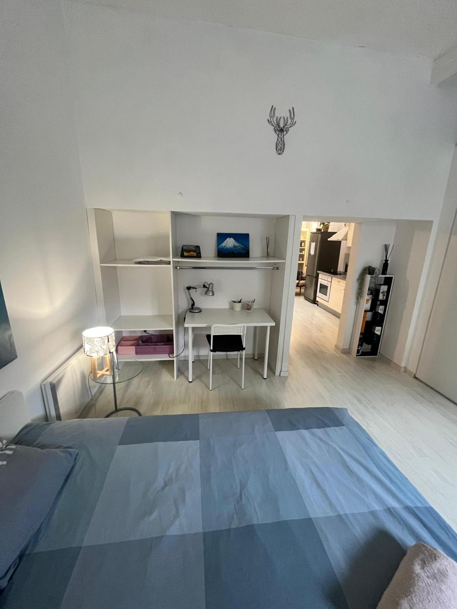 Tres Bel Spacieux Proche Universites Et Centre Appartement Strasbourg