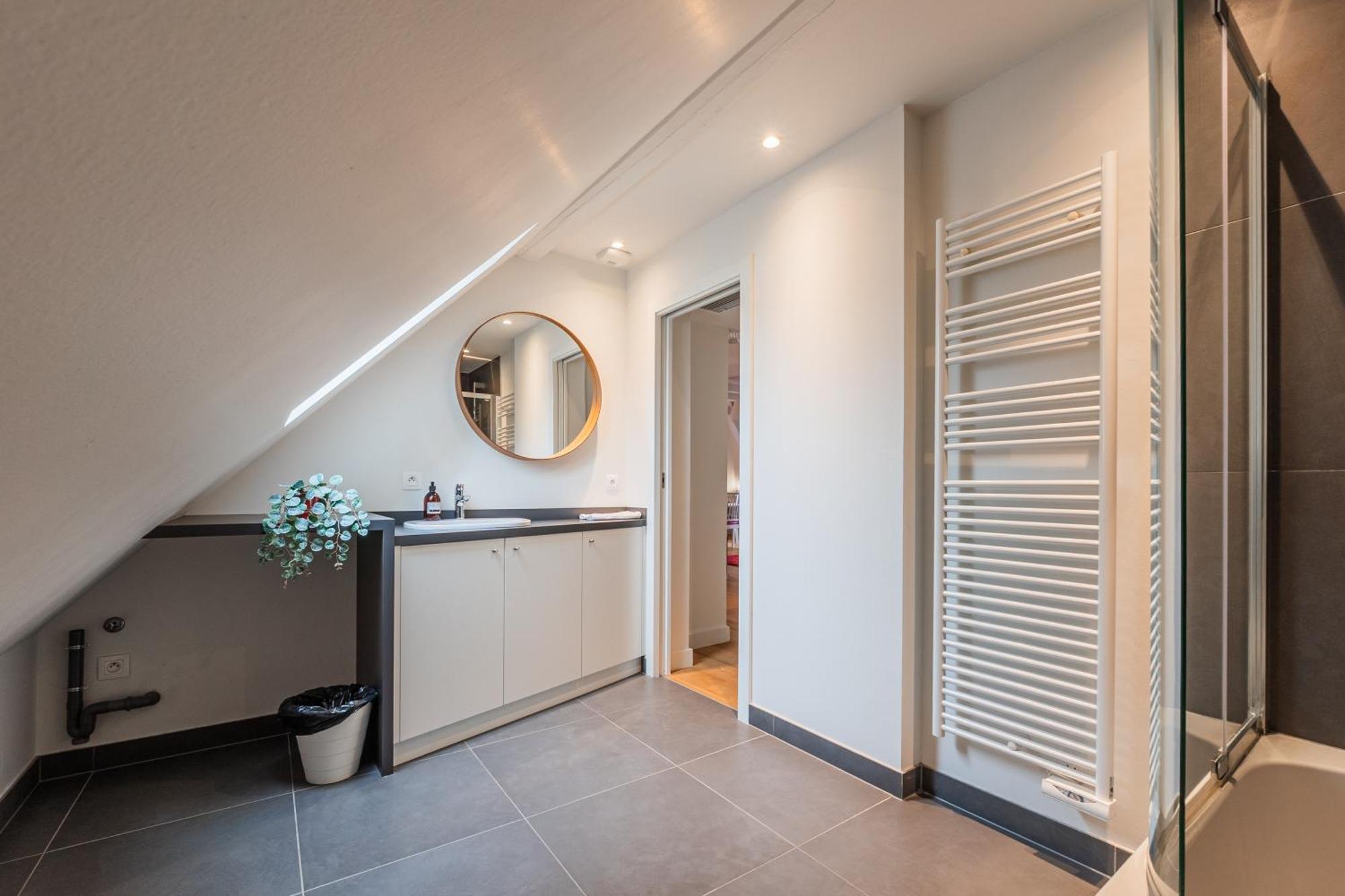 Le Nid De La Krutenau - Joli Duplex A La Krutenau Appartement *