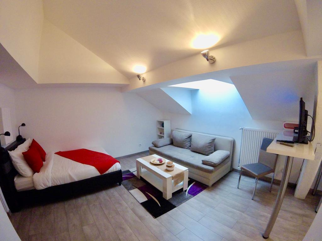 La Mesange Appartement Straatsburg