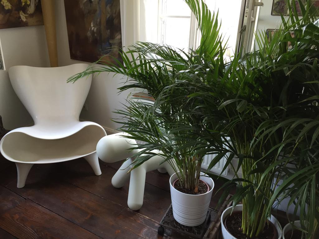 Quai 17 Bed & Breakfast Straatsburg