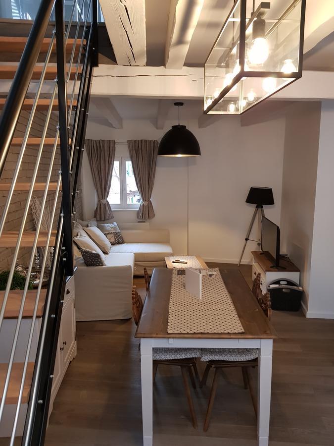 Le Nid De L'ill, Magnifique Duplex Cosy Petite France Apartment Straßburg