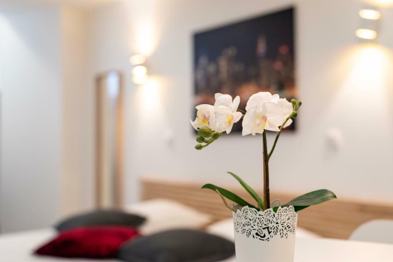 Citycosy - Hirtz Orangerie Strasbourg