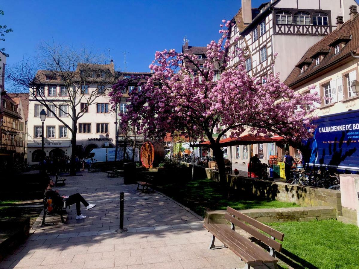 Le Moment Bleu Straßburg