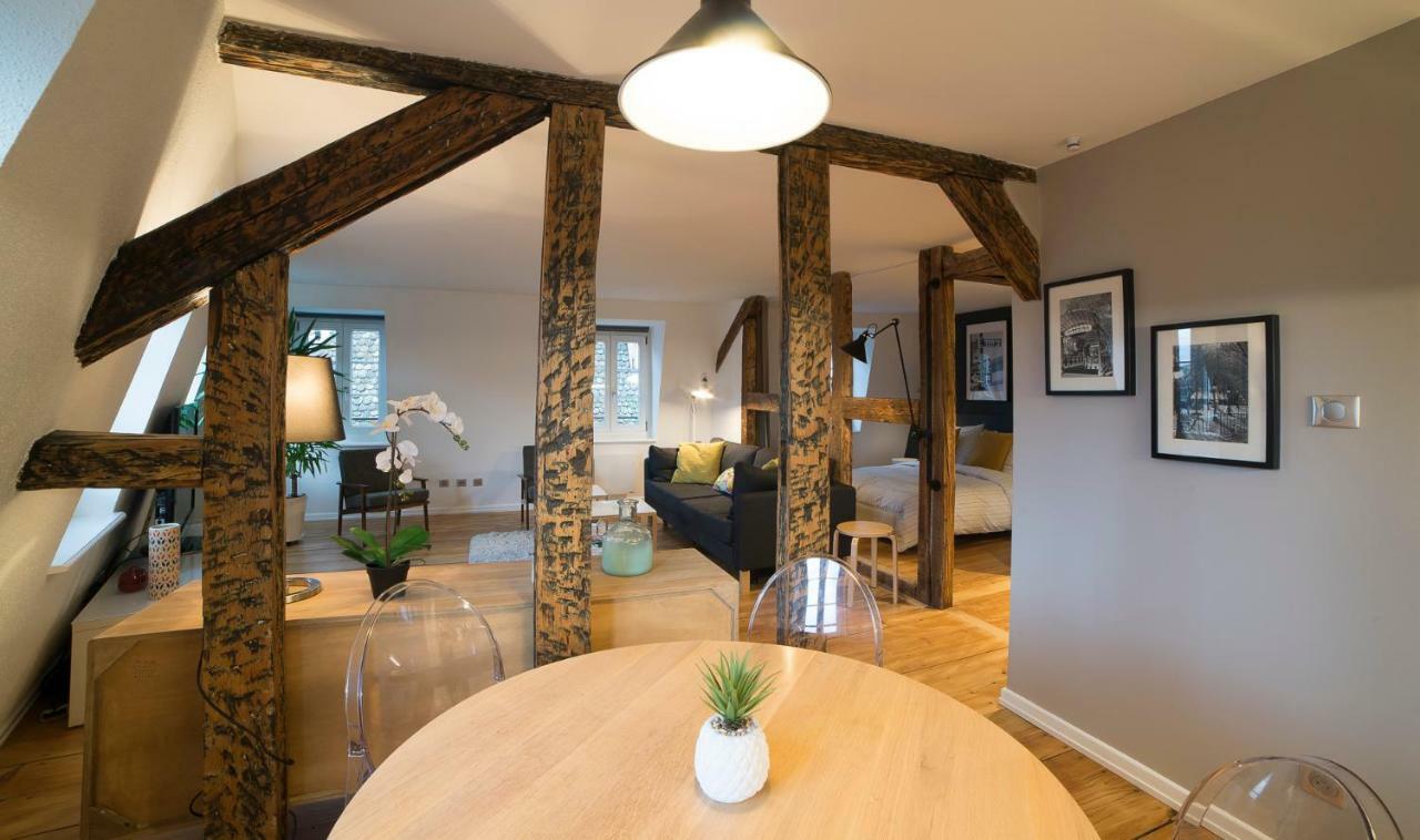 Apartment Cocoon Hypercentre Straßburg