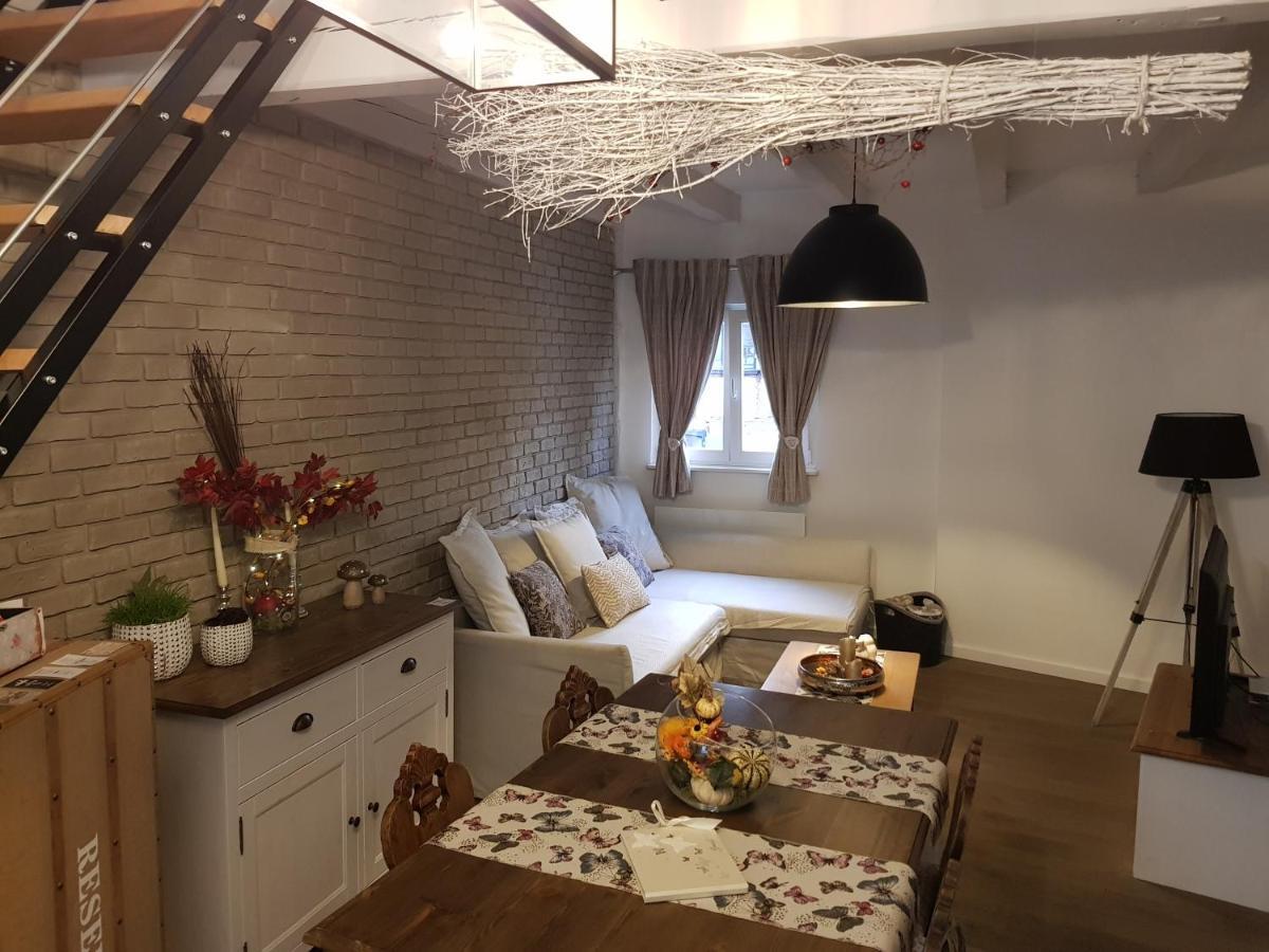 Le Nid De L'ill, Magnifique Duplex Cosy Petite France Straßburg