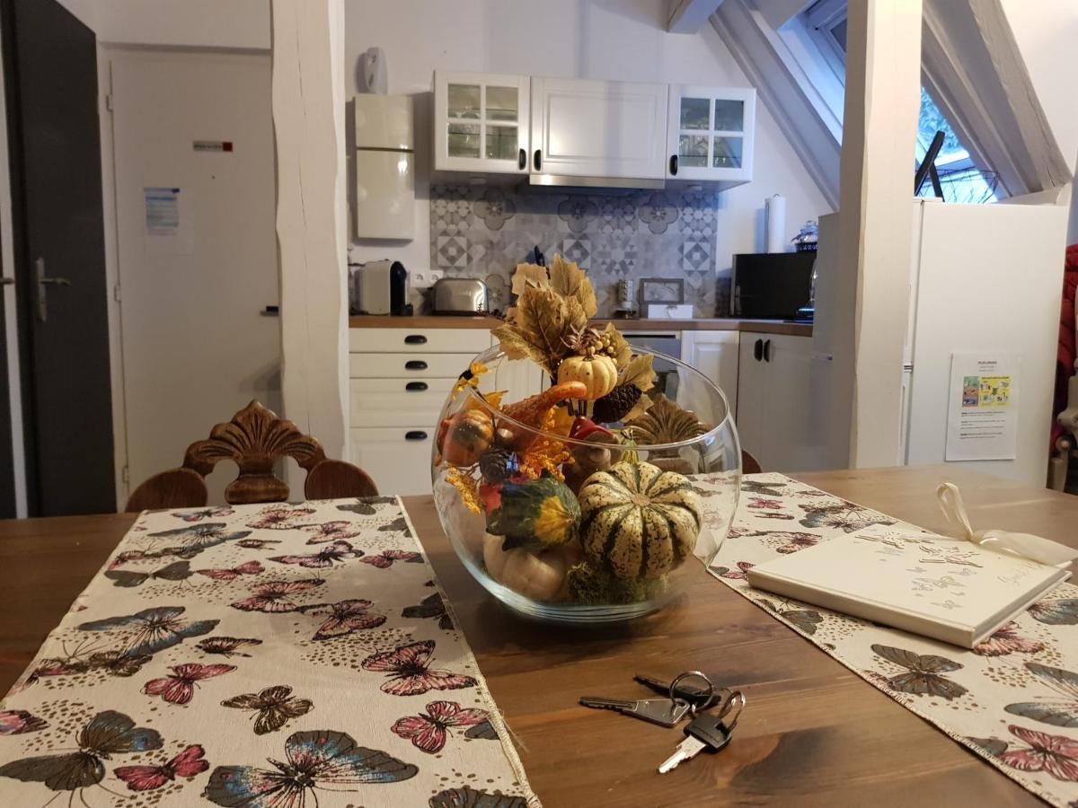 Le Nid De L'ill, Magnifique Duplex Cosy Petite France Straßburg