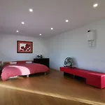 STRASBOURG LOFT TERRASSE 2 à 6 couchages G Friendly