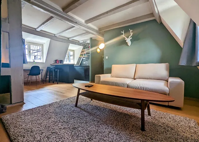 Citycosy Strasbourg - Authentique Batelier