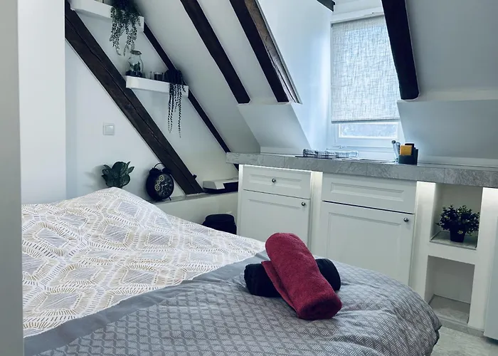 Cocon Au Coeur De Strasbourg