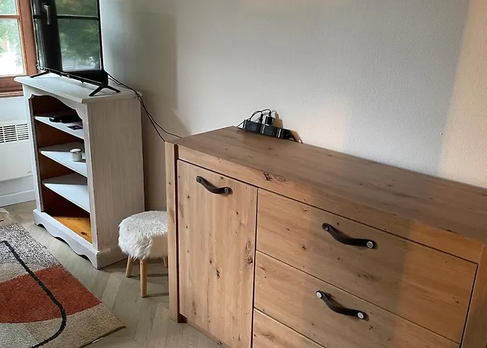 Appartement Chaleureux A La Petite France