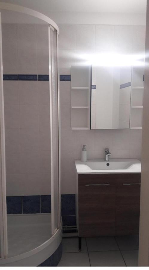 Apartment Grand A Cote Du Marche De Noel *
