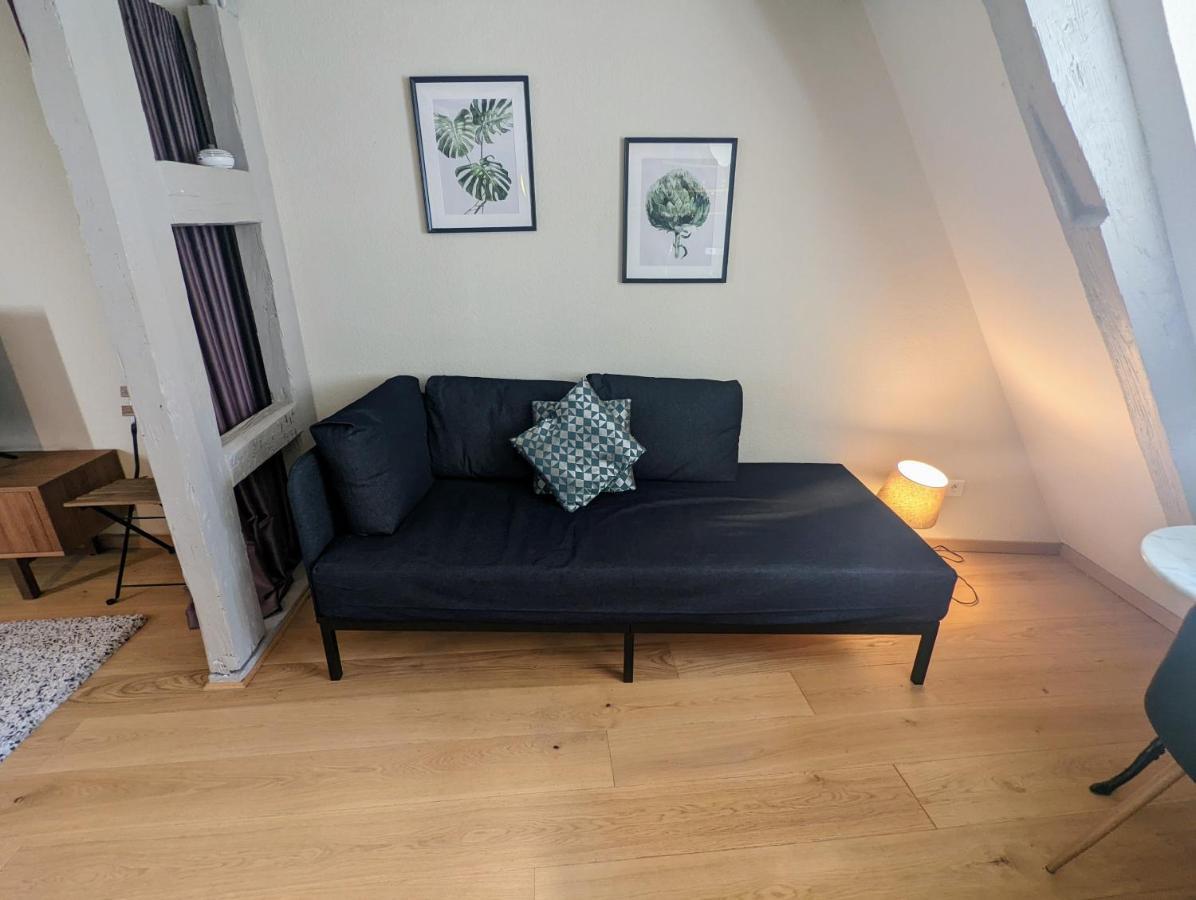 Citycosy - Authentique Batelier Apartment Straßburg