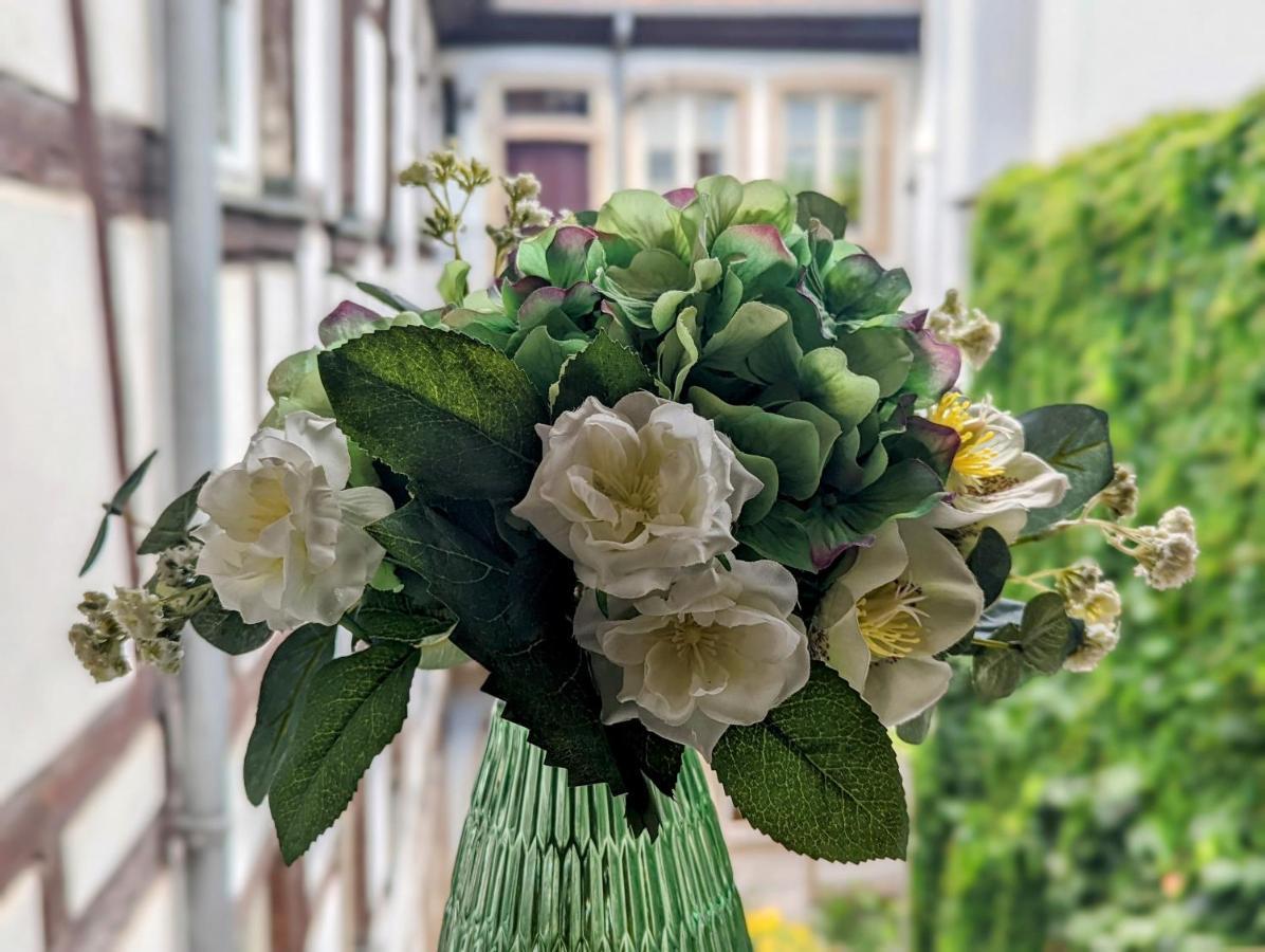 Citycosy - Authentique Batelier Straßburg