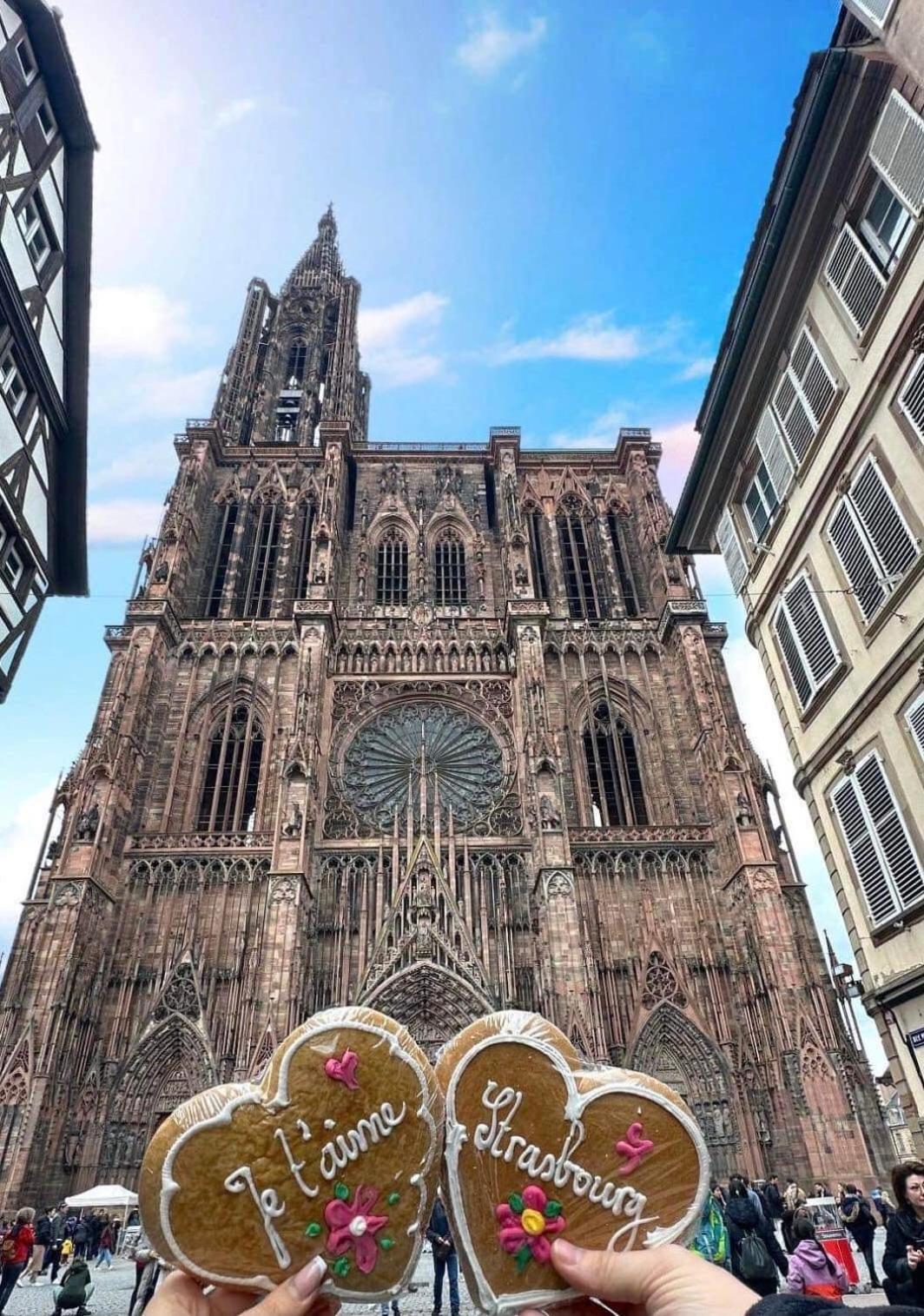 & Hyper Centre De - Proche Cathedrale & Petite France Apartment